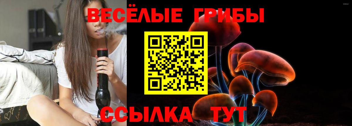 Псилоцибиновые грибы прущие грибы  Вход с VPN  как найти   Галлюциногенные грибы MAGIC MUSHROOMS  Урус-Мартан 