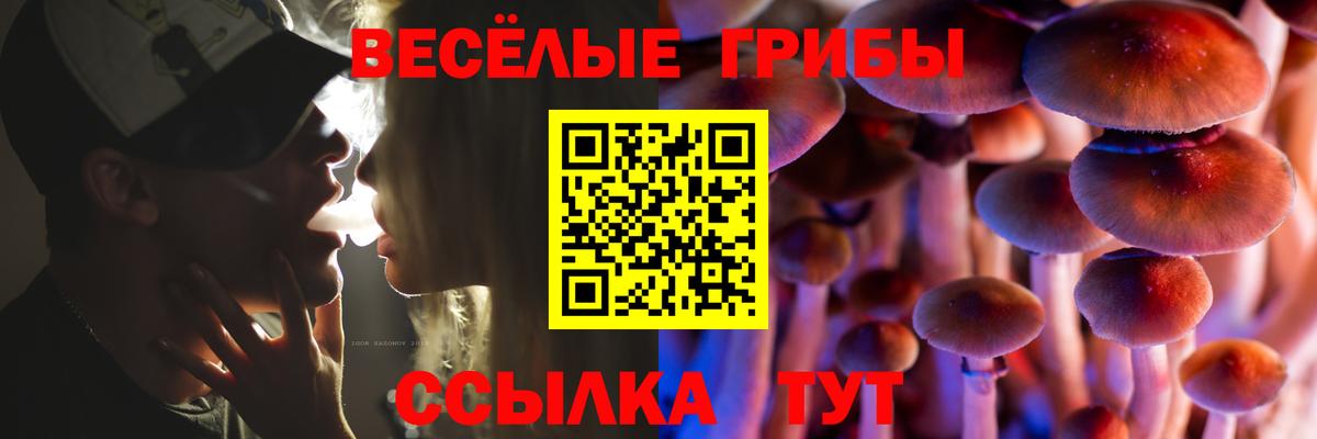 Псилоцибиновые грибы мухоморы Урус-Мартан